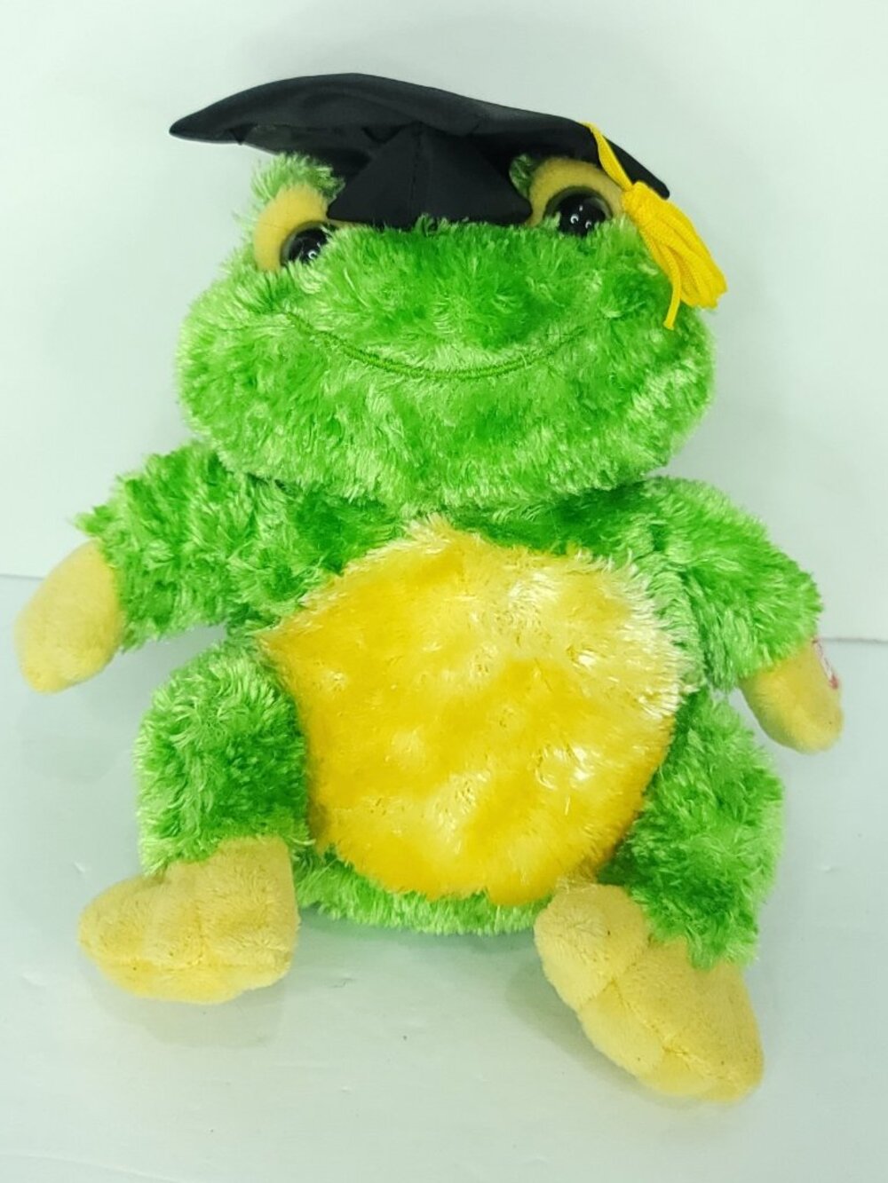 Dan Dee Graduation Talking Frog Plush Stuffed Animal Graduation Cap 9" Hooray
